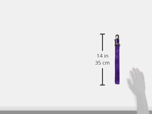 Hamilton Single Thick Deluxe Nylon Dog Leash with Swivel Snap, 1" by 6' Long, Purple - PawsPlanet Australia