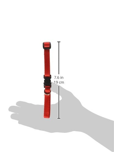 LupinePet Basics 1/2" Red 10-16" Adjustable Collar for Small Dogs 1/2" by 10"-16" Adjustable Collar - PawsPlanet Australia