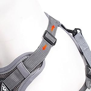 Wanheart cat Chest Harness and Leash, Anti-Escape Adjustable Soft mesh cat Leash and Chest Harness Set for All Types of Cats cat Vests (Grey, 11.02-16.5lb) L grey - PawsPlanet Australia