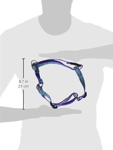 LupinePet Originals 3/4" Rain Song 14-24" Adjustable Roman Dog Harness for Medium Dogs 3/4"W; 14-24" Girth - PawsPlanet Australia