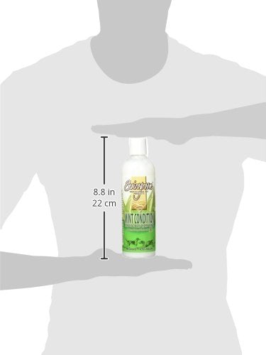 Envirogroom Mint Condition 17 oz.