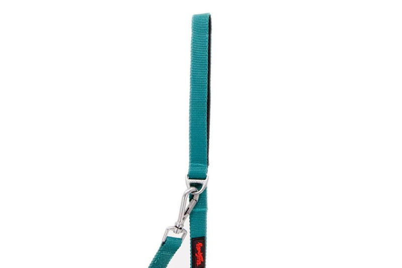 Tailpetz Basic Match Pet Leash 4,58ft Long for Small and Medium Breed Dogs and Cats (Medium, Emerald) - PawsPlanet Australia