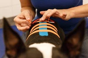 VETKIN VetkinTape® 2.4'' Veterinary Kinesiology Tape | Kinesiology Tape for Horses & Dogs | Equine & Canine Tape Pink - PawsPlanet Australia