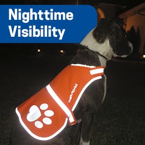 Reflective Dog Vest. Hi-Visibility, Fluorescent Blaze Orange Dog Vest Helps Protect Your Best Friend. Safeguard Your PUP from Motorists & Hunting Accidents, On or Off Leash. (Med) Medium - PawsPlanet Australia