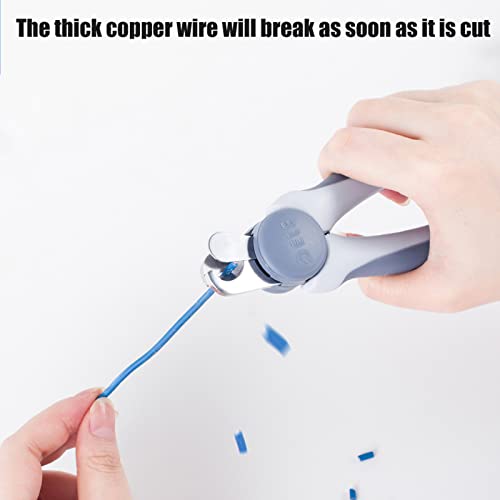 Professional dog nail clippers and cat trimmers with protective cover and safety lock, medium and large varieties, and a straight comb in blue