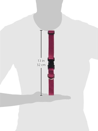 LupinePet Eco 1" Berry 16-28" Adjustable Collar for Large Dogs Collar - 1"W; 16-28" Neck - PawsPlanet Australia
