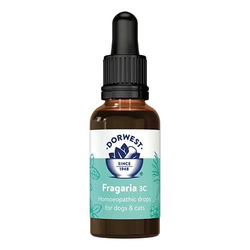 Dorwest Herbs Fragaria 3C Homoeopathic Liquid Remedy for Dogs & Cats - 15ml - PawsPlanet Australia