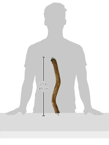 Polly's Full Length Hardwood Bird Perch, 16-Inch, Natural Brown 16" - PawsPlanet Australia