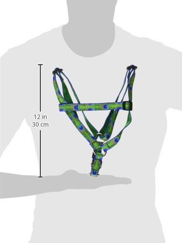 LupinePet Originals 3/4" Tail Feathers 20-30" Step In Harness for Medium Dogs 3/4"W; 20-30" Girth - PawsPlanet Australia