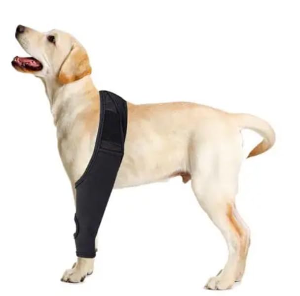 Dog Rear Leg Brace Support, Black, for Small Dogs, Hind Leg Protection