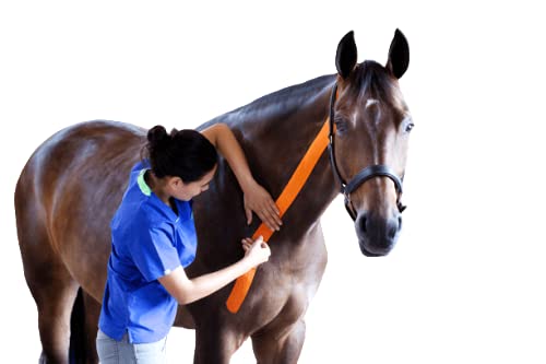VETKIN VetkinTape® 2.4'' Veterinary Kinesiology Tape | Kinesiology Tape for Horses & Dogs | Equine & Canine Tape Pink - PawsPlanet Australia