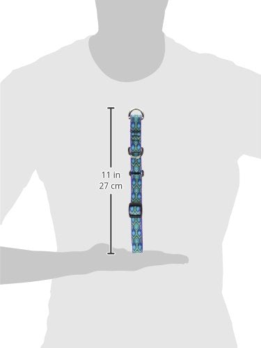LupinePet Originals 3/4" Rain Song 14-20" Martingale Collar for Medium and Larger Dogs 3/4"W; 14-20" Neck