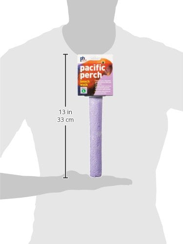 Prevue Pet Products Pacific Perch Beach Walk Large 1008 - PawsPlanet Australia