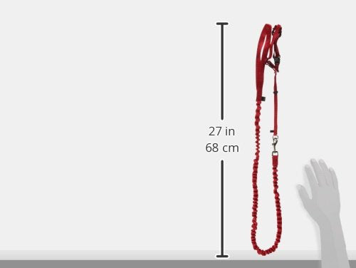 PetSafe Come With Me Kitty Harness and Bungee Leash, Medium, Red Medium (Pack of 1) - PawsPlanet Australia