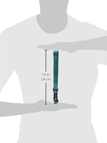 Hamilton Single Thick Deluxe Nylon Dog Leash with Swivel Snap, 5/8" by 4' Long, Teal - PawsPlanet Australia