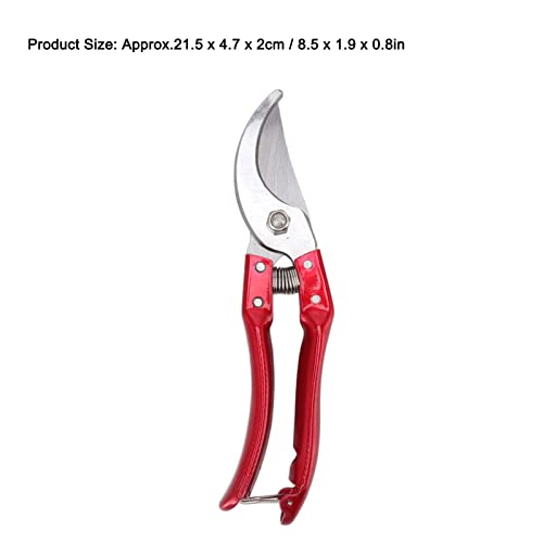 Goat Hoof Trimmers, Professional Animal Toe Scissors, Lightweight Ergonomic Design, Stainless Steel, Sheep Hoof Trimmers (Red) Red - PawsPlanet Australia