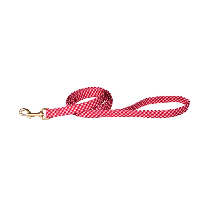 Dolly Doggy Parton Dog Harnesses and Leash/Collar Set Collection, Red Gingham Collar Leash Set, X-Small - PawsPlanet Australia