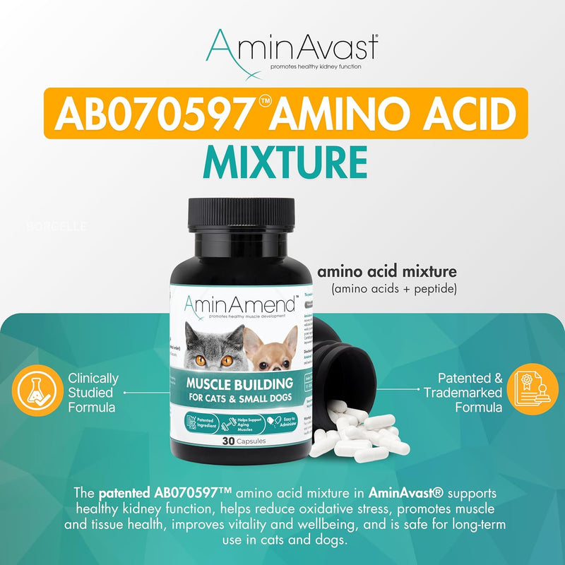 AminAvast Kidney Support Supplement for Cats and Dogs, 300mg - Promotes Natural Kidney Function - Aids in Health and Vitality of Aging Kidneys - Easily Administered - 60 Sprinkle Capsules - PawsPlanet Australia