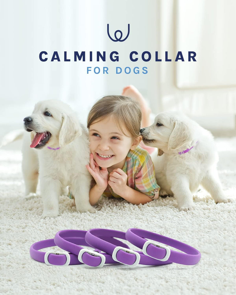 4 Pack Calming Collar for Dogs, Dog Anxiety Relief, All New Pheromone Dog Calming Collars, Anti-Loose Dog Collar, Dog Calm Collar, Separation Anxiety Relief for Dogs, Reduce Dog's Anxiety and Stress - PawsPlanet Australia