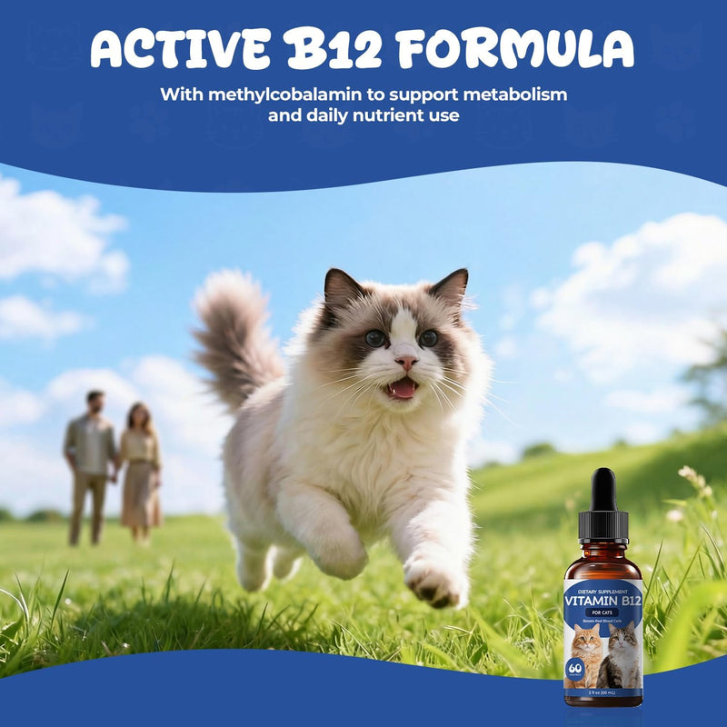 Vitamin B12 for Cats | Methylcobalamin Supplement | Boosts Red Blood Cell Formation, Energy, Nervous System & Appetite, Treats Pancreatitis | 2 fl oz Dropper