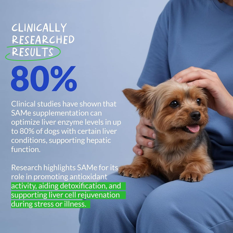 SAMe for Dogs - S-Adenosyl-L-Methionine, Liver Supplements for Dogs - Brain Supplement for Dogs, Promotes Cognitive Support, Liver Support Supplement Tablets - PawsPlanet Australia