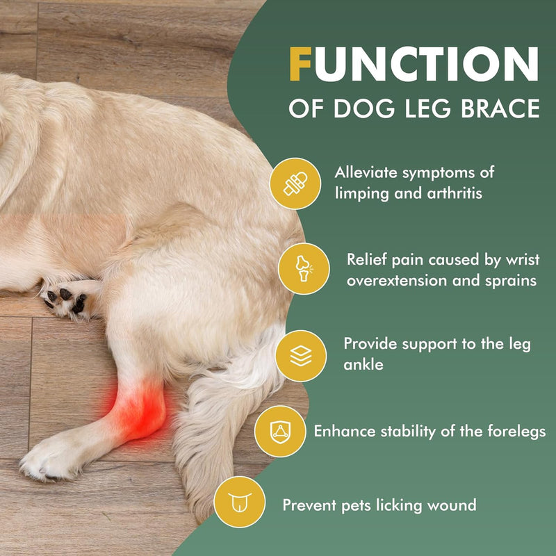Dog Knee Brace for Torn ACL Hind Leg and Luxating Patella, Canine Rear Hock Joint Support, Joint Injury and Sprain Protection, Removable Design, Comes with 2 Spring Bars and 2 Steel Bars (XS Pair) XS