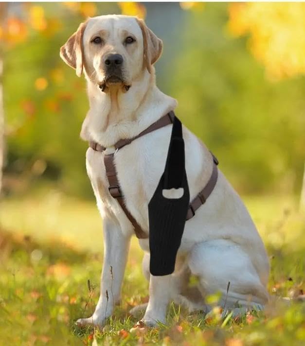 Dog Knee Brace, Dog Leg Brace for ACL Support with Cruciate Ligament Injury, Knee Cap Dislocation, Joint Pain and Muscle Sore, Adjustable Dog ACL Brace with 10 Side Stabilizers, Pet Brace (L) L