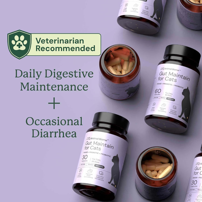 KittyBiome GMP Gut Maintenance Plus Diarrhea Relief for Cats - Triple Action Formula Designed to Reduce Diarrhea Caused by Antibiotics, C. Difficile, or E. Coli