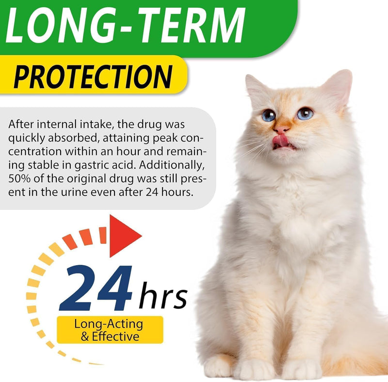 Natural Antibiotics for Cats - Cat Antibiotics - Cat Antibiotic - Pet Antibiotics - Cat Immune Support - Antibiotic for Cats - Cat Multivitamin - Cat UTI Antibiotics