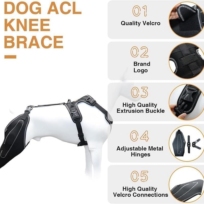 REBORN Dog Double Knee Brace for Torn ACL, CCL & Luxating Patella, Adjustable Back Leg Support & Recovery, Hind Leg Brace for Stability, Arthritis, Injury & Joint Pain Relief, Medium