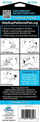 Brush My Teeth Big Dog Toothbrush, Rounded Brush Head with Soft Flexible Bristles for Safe and Gentle Brushing for Dogs, Any Large Breed or Puppy, Daily Brushing Adds Years of Healthy Life - PawsPlanet Australia