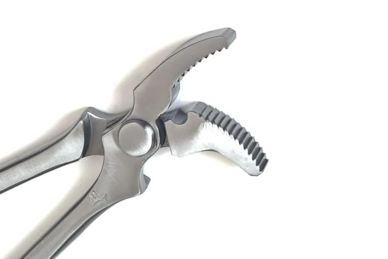 Hoof Curved Jaw Clincher 13", Farrier Tool Hoof Nail Clincher Vanadium Steel Plier