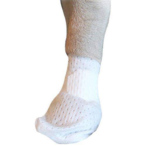 Medimitt Paw Bandages for Dogs, Cats and Pets – Stretchy Medical Booties, First Aid for Paws – Non Slip, Non Adhesive, Breathable, Disposable, Washable, Adjustable Strap, 12 Pack (Large) Large 12-Pack