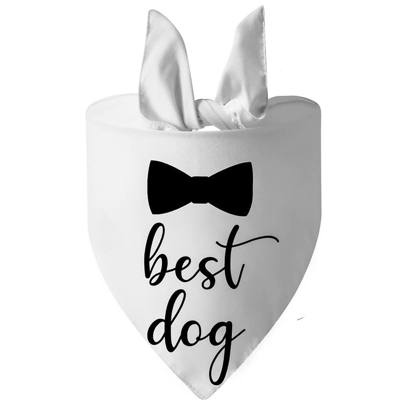 2 Pack Dog Bandana for Wedding Engagement and Birthday,Triangle Pet Scarf for Dog Lovers,Suitable for Small Medium Large Boy Girl Dog. - PawsPlanet Australia