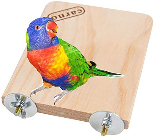 Litewoo Bird Wood Perch Platform Stand Shelf for Birds Budgie Parakeet Cockatiel Conure Cockatoo?Medium? M