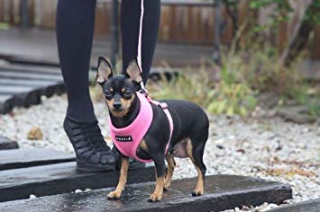 Puppia Soft Dog Harness No Choke Over-The-Head Triple Layered Breathable Mesh Adjustable Chest Belt and Quick-Release Buckle, Brown, Medium - PawsPlanet Australia