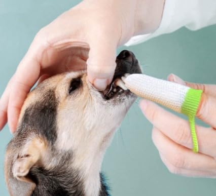 Anibio Fluffy (Pack of 2) Finger Toothbrush | Fingerling | Gently and Thoroughly Removes Plaque | Silver Ion Technology | Teeth Cleaning | Dog Teeth |