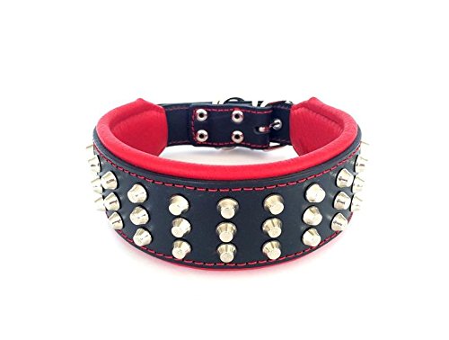 Bestia "Stud Genuine Leather Big Dogs Collar. 2.5 inch Wide. Soft Padded. Very Durable and Comfortable. Handcrafted Guaranteed. Pitbull. Cane Corso. Rottweiler. Bully. Amstaff. L- fits a neck of 19.7 to 22.6 inch Red Cushion - PawsPlanet Australia