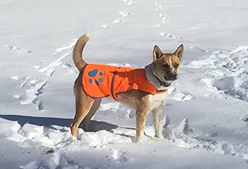 Reflective Dog Vest. Hi-Visibility, Fluorescent Blaze Orange Dog Vest Helps Protect Your Best Friend. Safeguard Your PUP from Motorists & Hunting Accidents, On or Off Leash. (Med) Medium - PawsPlanet Australia