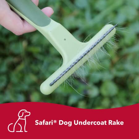 Coastal Pet Safari Dog De-Matting Comb and Undercoat Rake - Bundle for Matted Hair and Shedding Prevention - PawsPlanet Australia