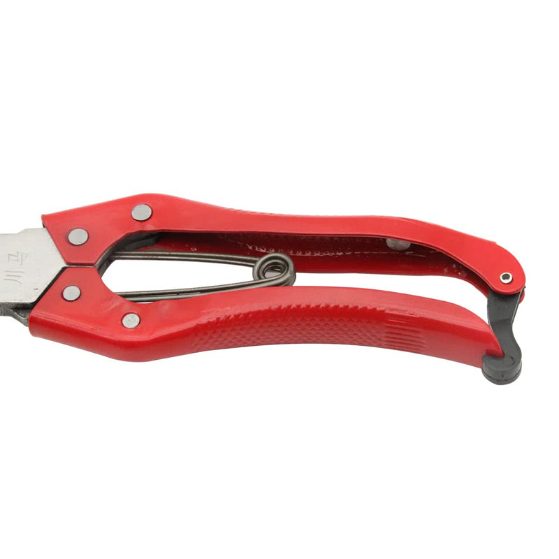 Hand Shears for Sheep Multifunctional Sheep Shear Wool Shear Trimming Scissor with Spring Stainless Steel Garden Kitchen Scissors - PawsPlanet Australia