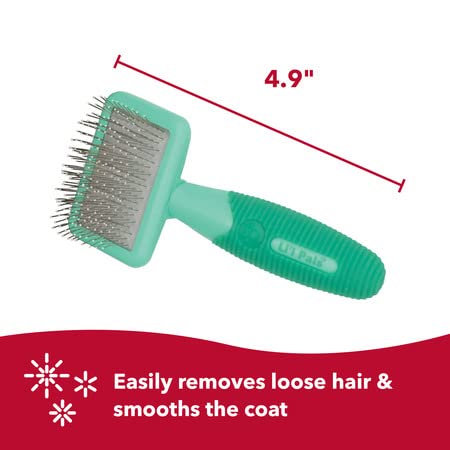 Coastal Pet - Li'l Pals Slicker Brush with Coated Tips and Double-Sided Comb for Small Dogs and Puppies - Bundle - PawsPlanet Australia