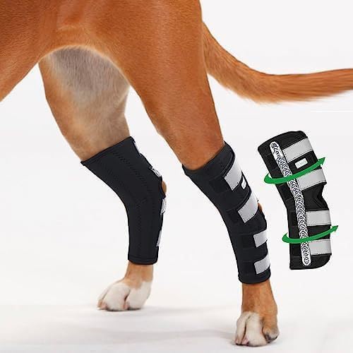 Lyderpet Dog Leg Brace for Rear Hock Joint, Compression Wrap Strong Support Back Leg for Canine Torn Acl & Ccl, Hind Ankle Injury and Sprain Heals, Keeps Warm and Stability for Arthritis (M) - PawsPlanet Australia