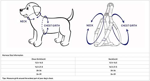 Blueberry Pet Soft & Comfy 3M Reflective Step-in Pastel Color Padded Dog Harness, Chest Girth 16.5" - 21.5", Red, Small, Adjustable Harnesses for Dogs (16.5" - 21.5") Chest Girth (Pack of 1) - PawsPlanet Australia