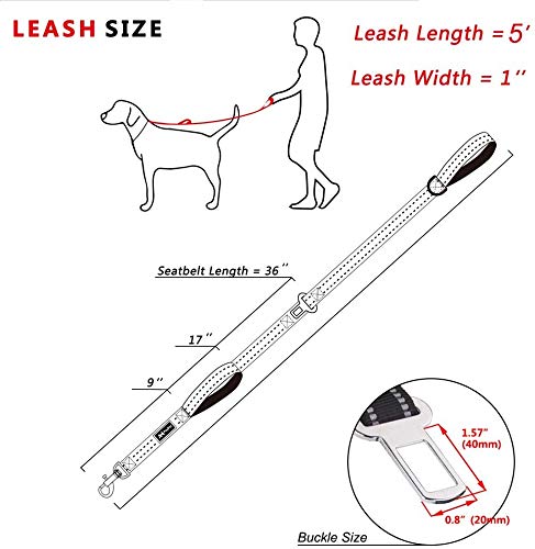 PoyPet 5 Feet Dog Leash - 3M Reflective - 2 Cushioned Handles - Functional Car Seat Belt(Black) Black Classic - PawsPlanet Australia