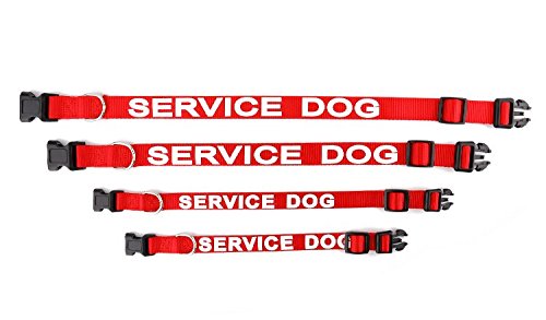Service Dog Collar & Emotional Support Animal (ESA) Collar with Metal ID Tag + 3 Information Cards – Adjustable Heavy-Duty Nylon | ALL ACCESS CANINE Service Dog (collar only) XS (8-12") - PawsPlanet Australia