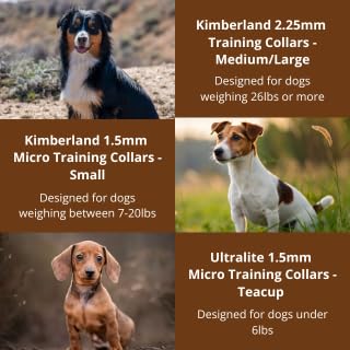 1.5mm Kimberland Collars Clasp Dog Training Collar for Small Breeds | 8'' Micro Training Chain for Dogs 6-26lbs | No-Pull Collar | Behavior Aid | Stainless Steel | Silver - PawsPlanet Australia