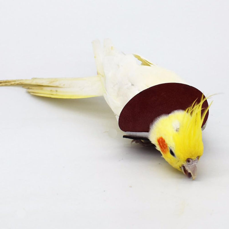 8 Pcs Bird Cone Collar - Parrot -bite Elizabethan Collars, Bird Recovery Collar, Neck Rings Wound Protector for Budgerigar Lovebird Agapornis Fischer Cockatiel Cockatoo - PawsPlanet Australia