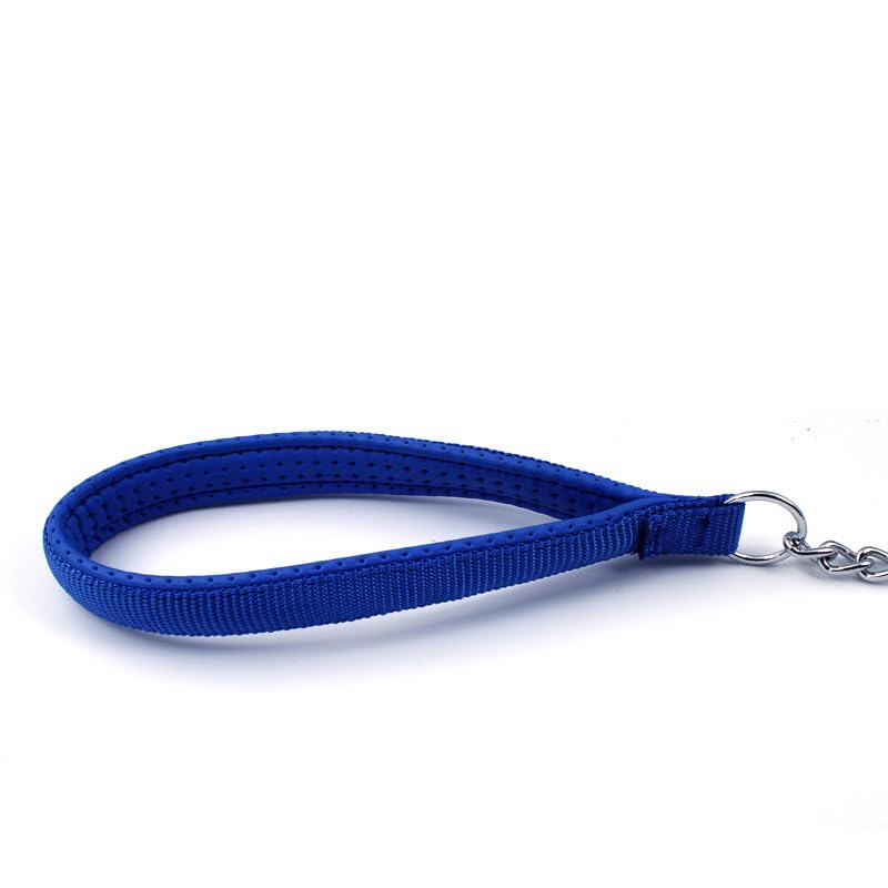 SGODA Metal Chain Heavy Duty Dog Leash, Chew Proof Dog Leash with Soft Handle for Large & Medium Size Pets Walking(4 ft. x 3.0 mm Blue) 4 ft. x 3.0 mm - PawsPlanet Australia