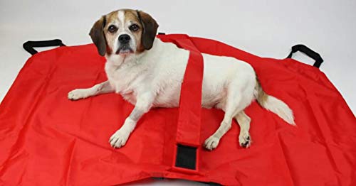 Transport Stretcher for Dogs | Emergency Animal Carrier with Safety Strap | 250 Pound Weight Limit | Pet Stretcher Size: 47 L X 29 W inches Pet Carrier (Blue) - PawsPlanet Australia